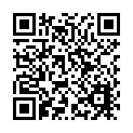 W-40117 簡約牛津保溫袋(黏扣式)_QRCODE