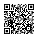 C10140-A6單層素色網格袋20*12.5_QRCODE