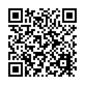 113236-米諾諾彩色鋼索鑰匙圈2入_QRCODE