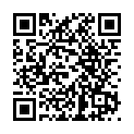 BS533-2 高級木炭1.1kg_QRCODE