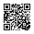 63790-鏤空套裝髮捲夾(大)3入_QRCODE