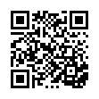 110-128 萬用置物網片60*28cm_QRCODE