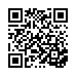 DT-41 超大總理萬用籃_QRCODE