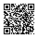 SD11-201 彩條起子3.2mmx2英吋_QRCODE