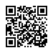 S00-092R 日式反光背心-紅網黃條_QRCODE
