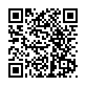 C10152-網紗A4資料袋(33x25cm)_QRCODE