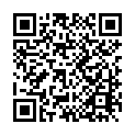 C10140-A6單層素色網格袋20*12.5_QRCODE