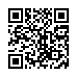 C10152-網紗A4資料袋(33x25cm)_QRCODE